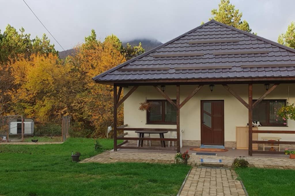 Limpedea Green House بايا ماري المظهر الخارجي الصورة