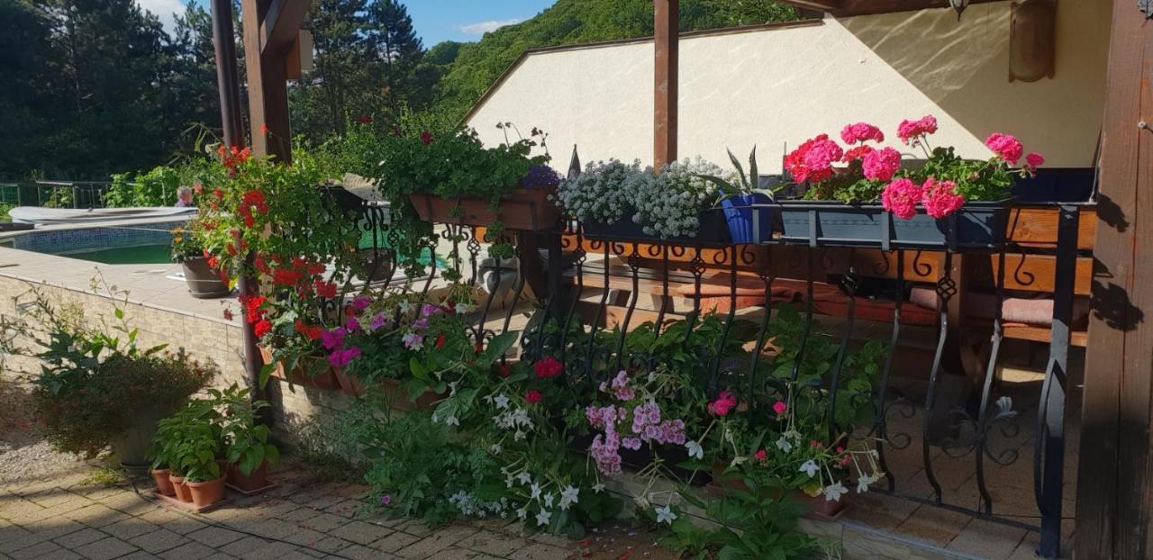 Limpedea Green House بايا ماري المظهر الخارجي الصورة